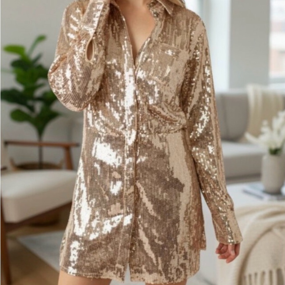 Free People Sequin Dress